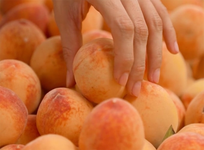 Vg about us image opt - Modèle ALD