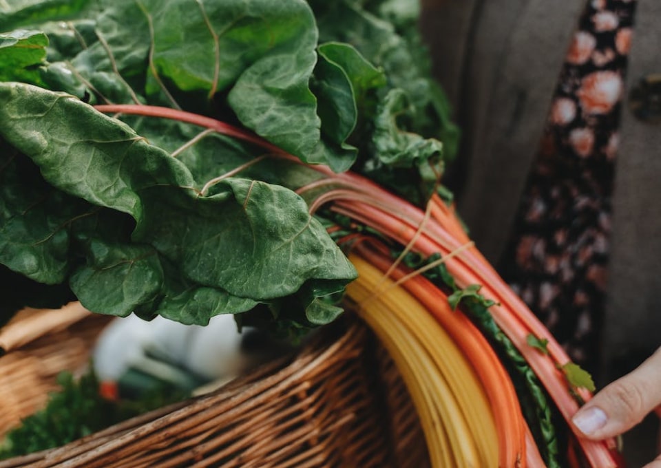 Vg gallery opt - Modèle ALD