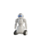 Robots telecommandes - Toys Galaxy
